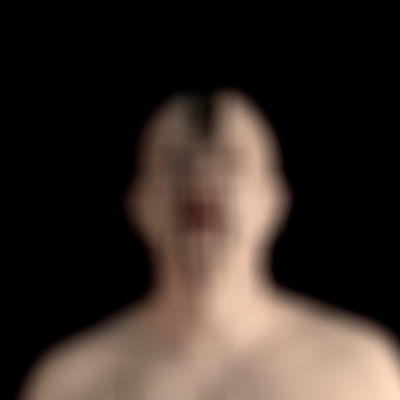 Der Blinde Fleck