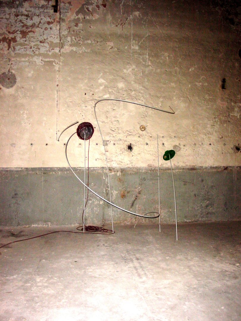 Natalität in Frittenbuden?