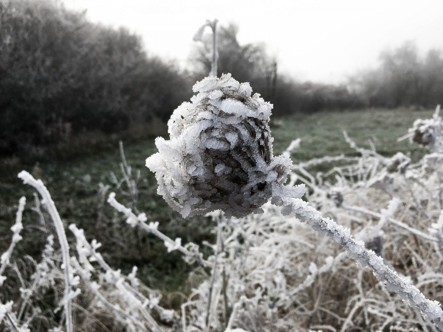 Wird es kälter, weil es wärmer wird?