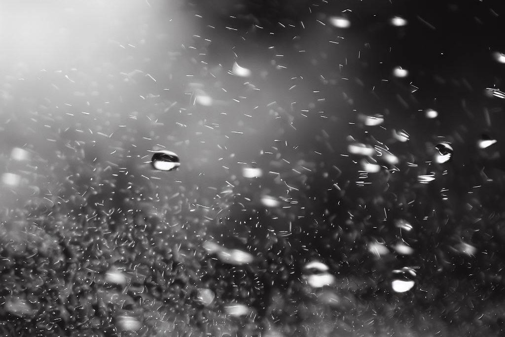 Regen